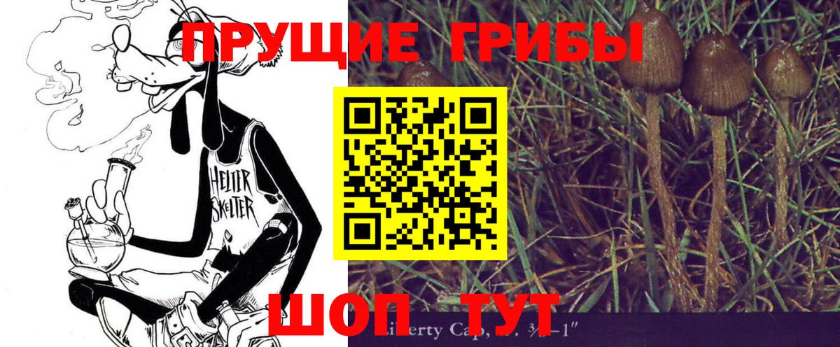 Псилоцибиновые грибы Psilocybe  Галлюциногенные грибы Cubensis  Красноярск  Вход с VPN 